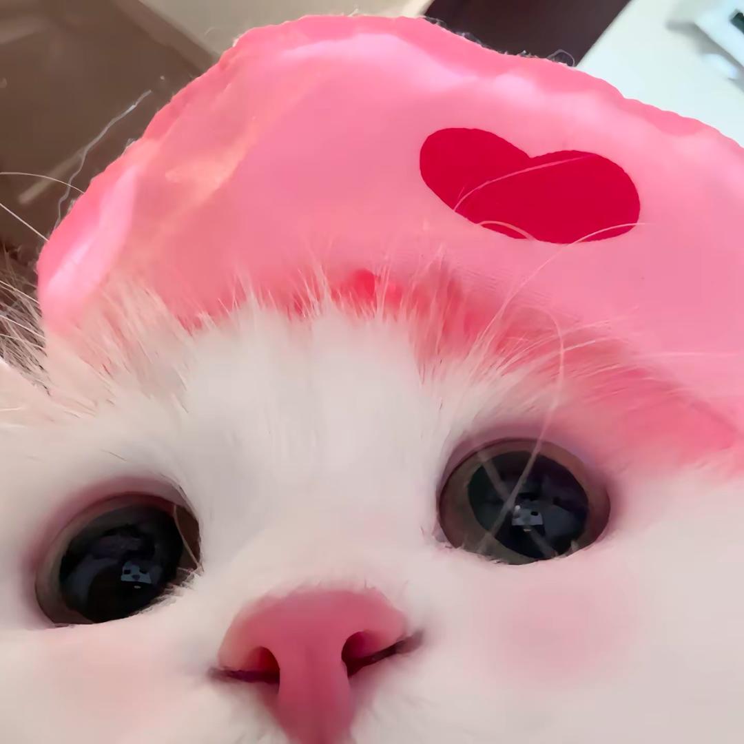 茉莉小盒