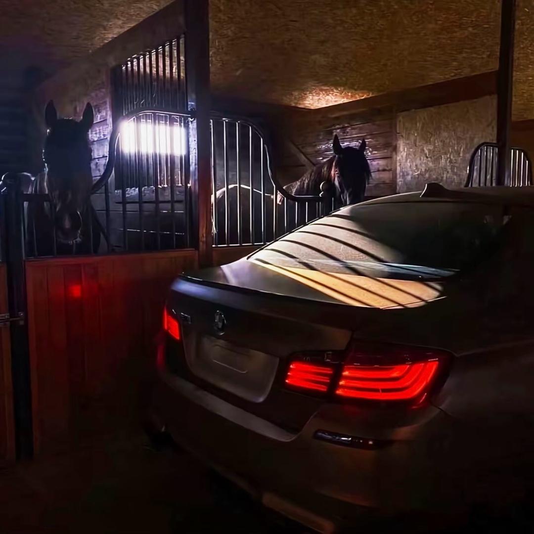 玩🚗的老百姓.