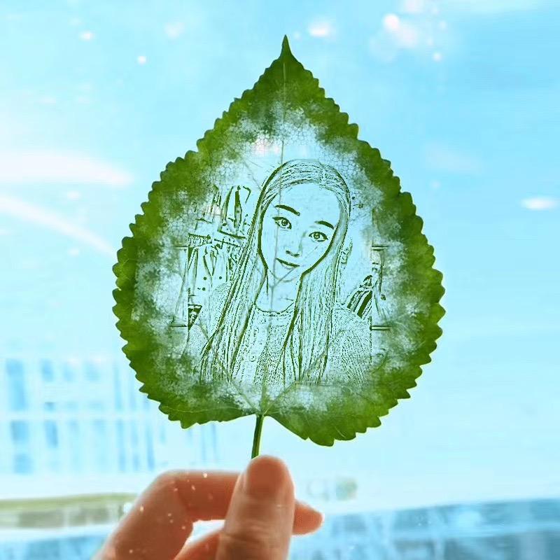 章一号未来75级大哥
