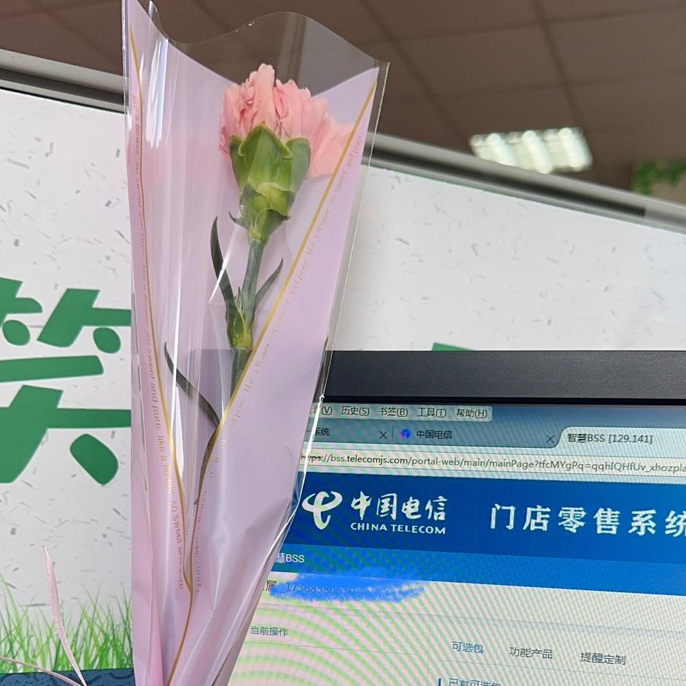 真武海的心声