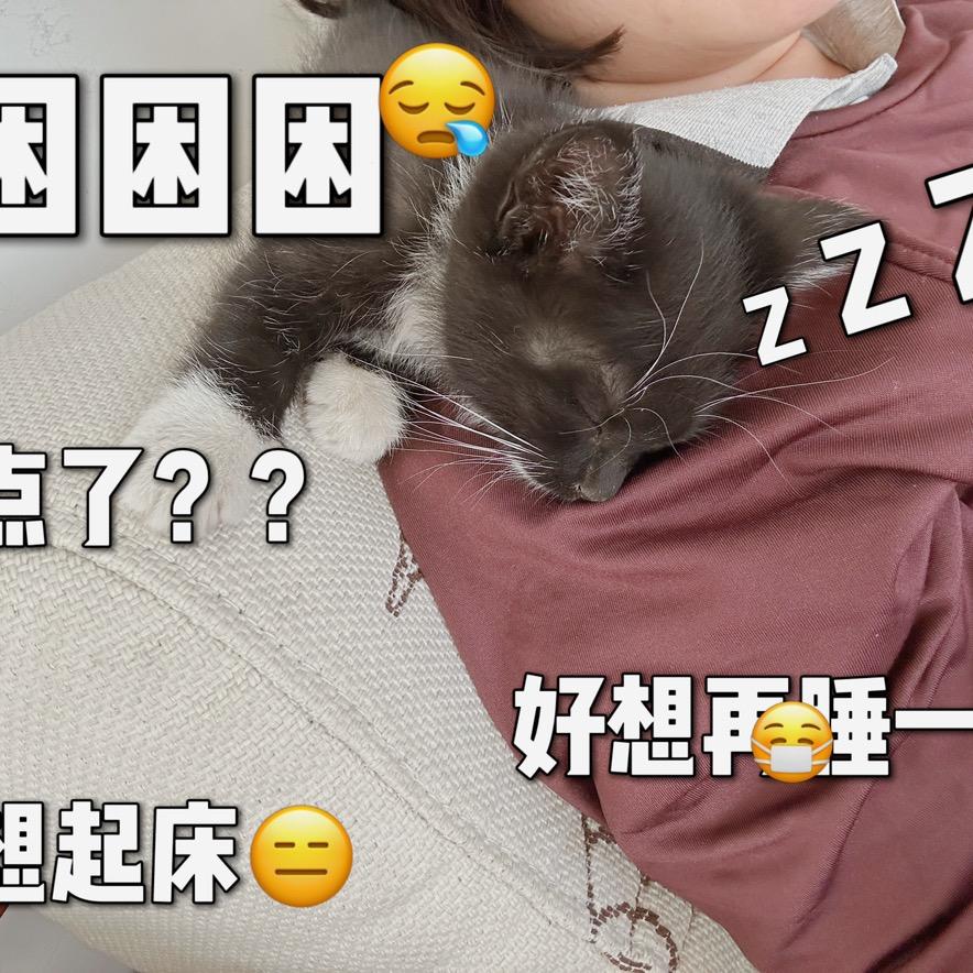 脉脉