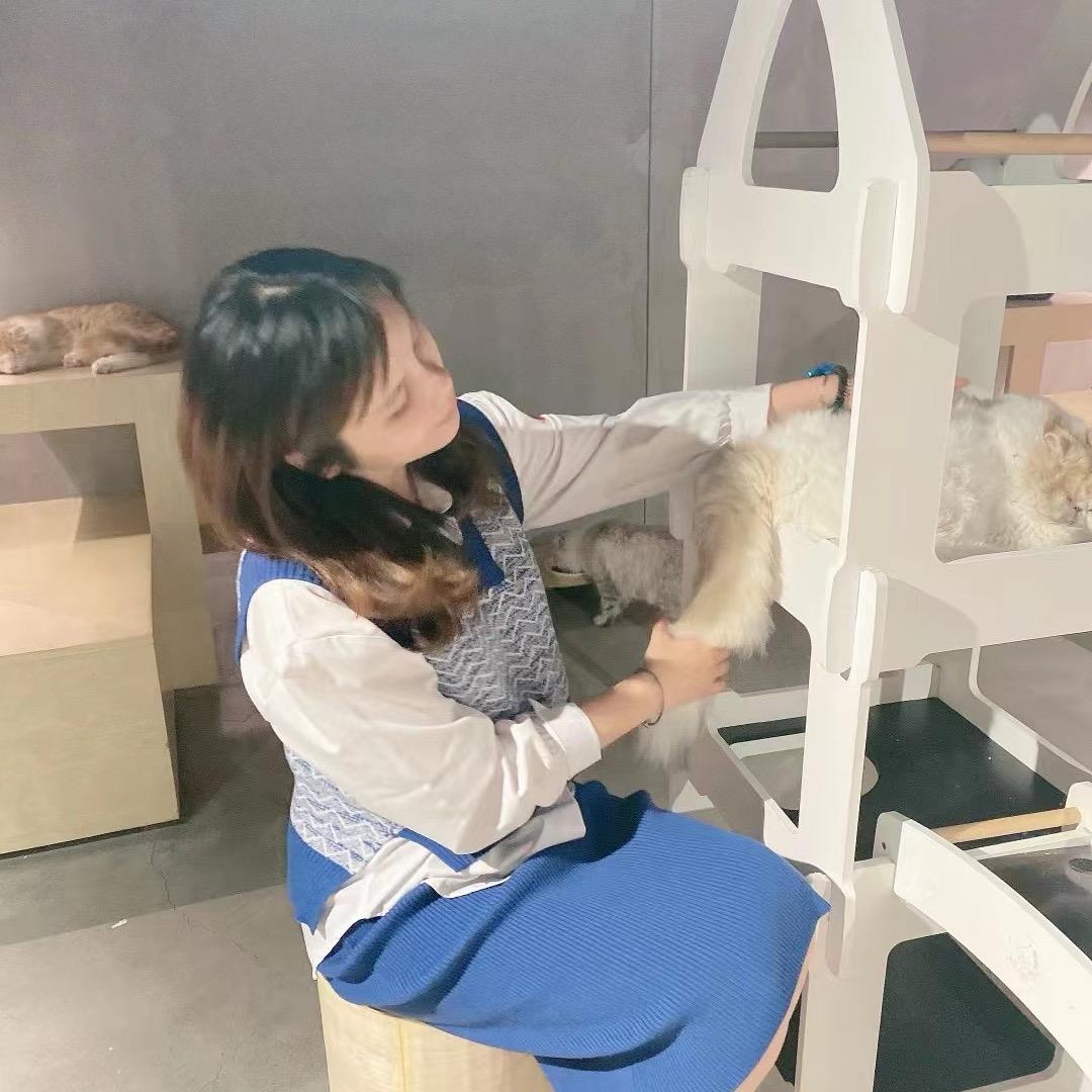 occ小姐