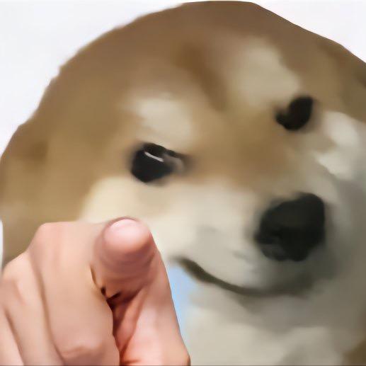 暴躁小狗🐶（推荐码：2597）