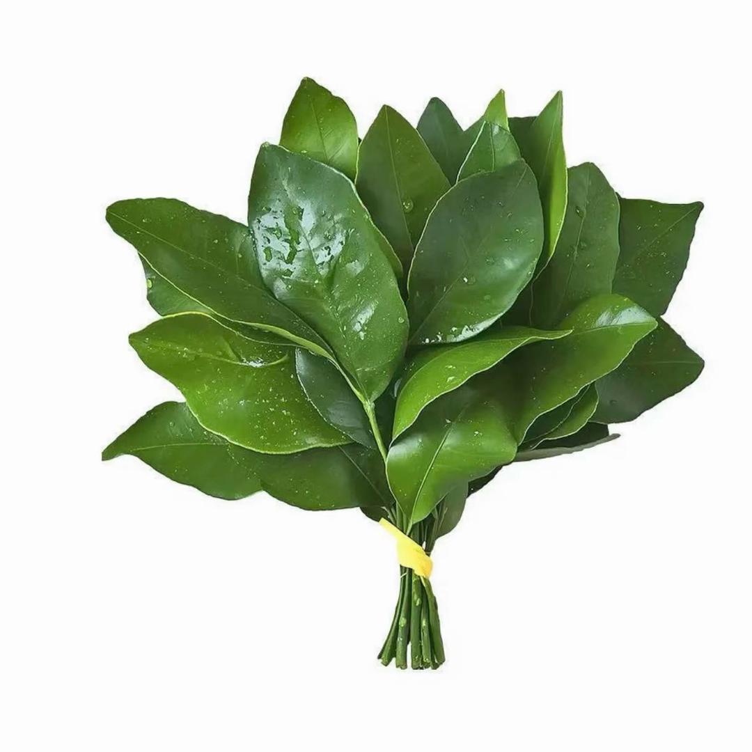 好运来🧨