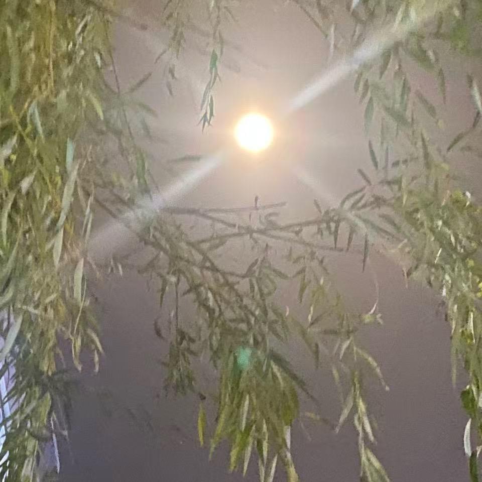 单身九兒🤣💕