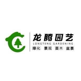 龙腾景观园艺