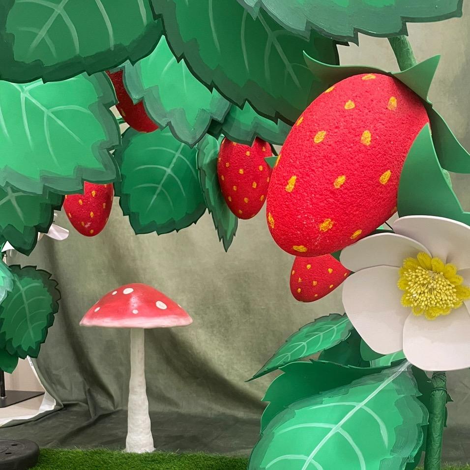 草莓pet宠美摄影