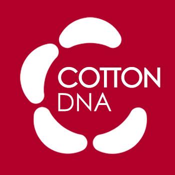 棉基因新余市三人行电子商务有限公司内衣专卖店