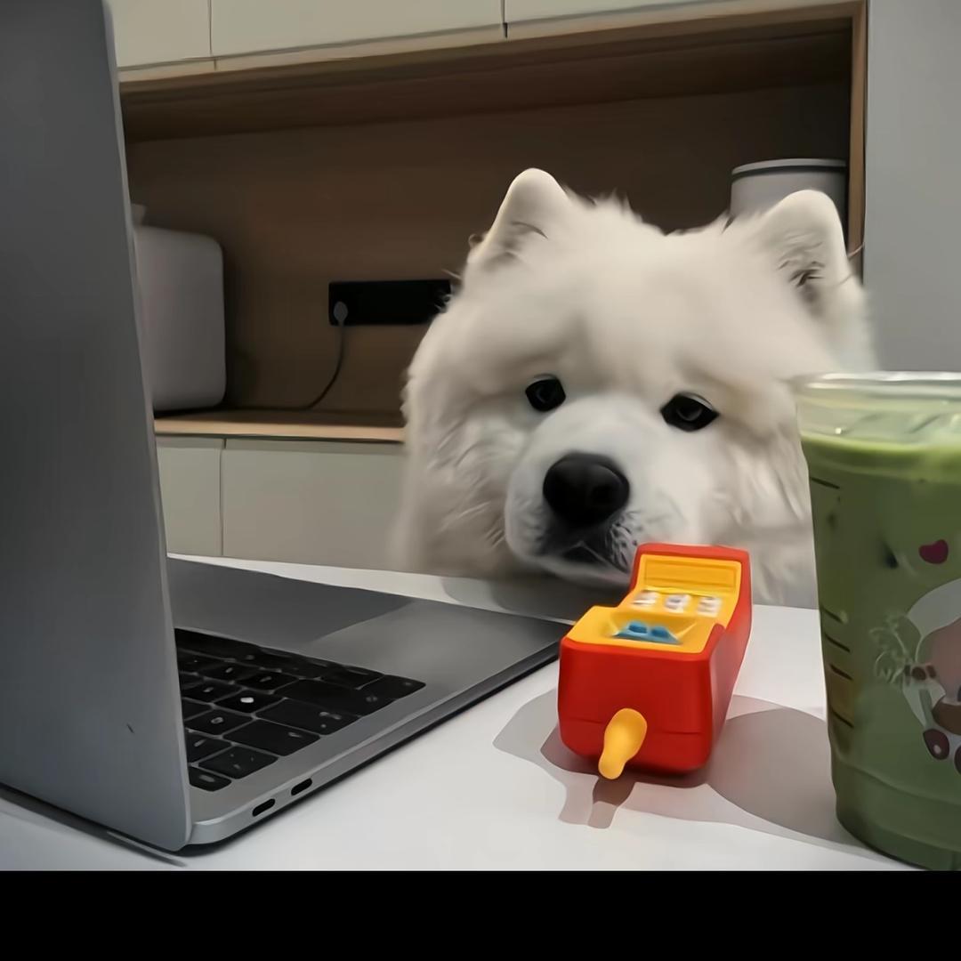 。。。