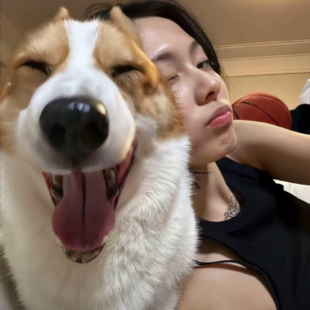 咸鱼突刺