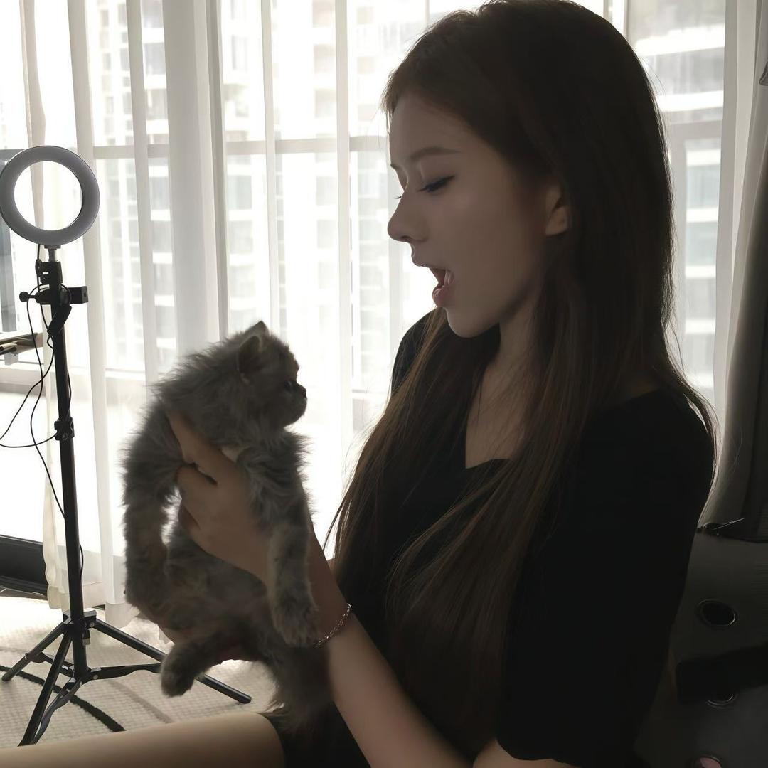 小猫心事