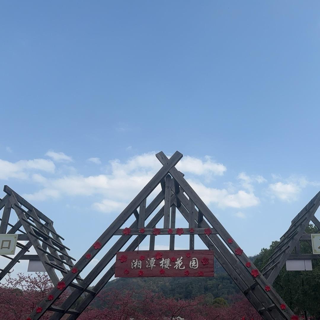 钱大大～