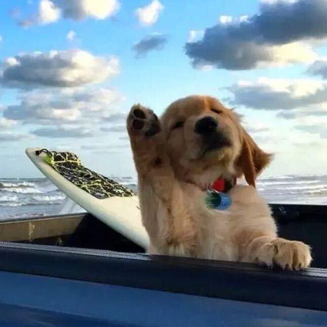 ㅤㅤㅤ  ￴￴￴  ￴￴