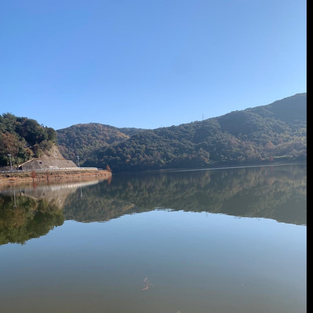 原来你也在这里