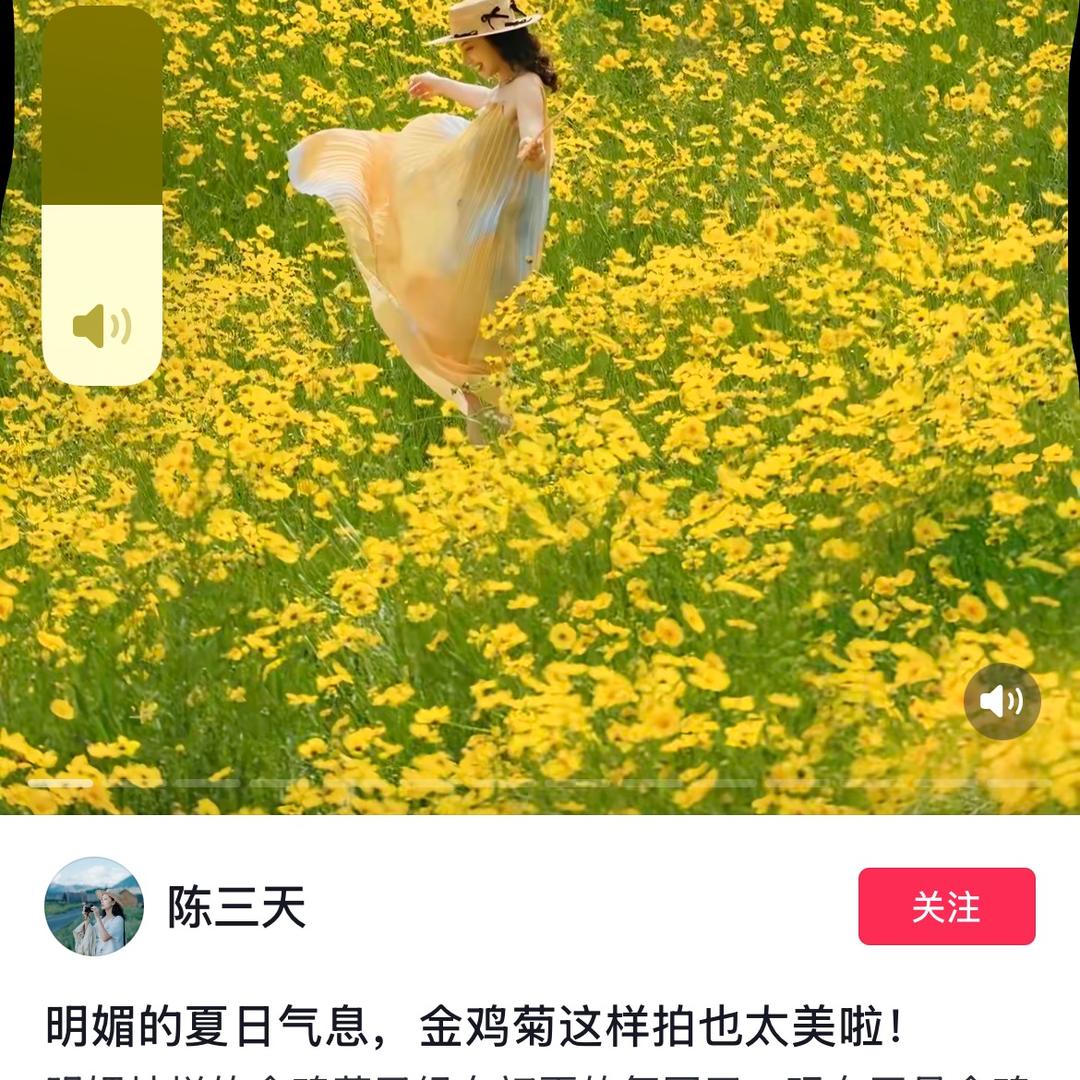 小米小米