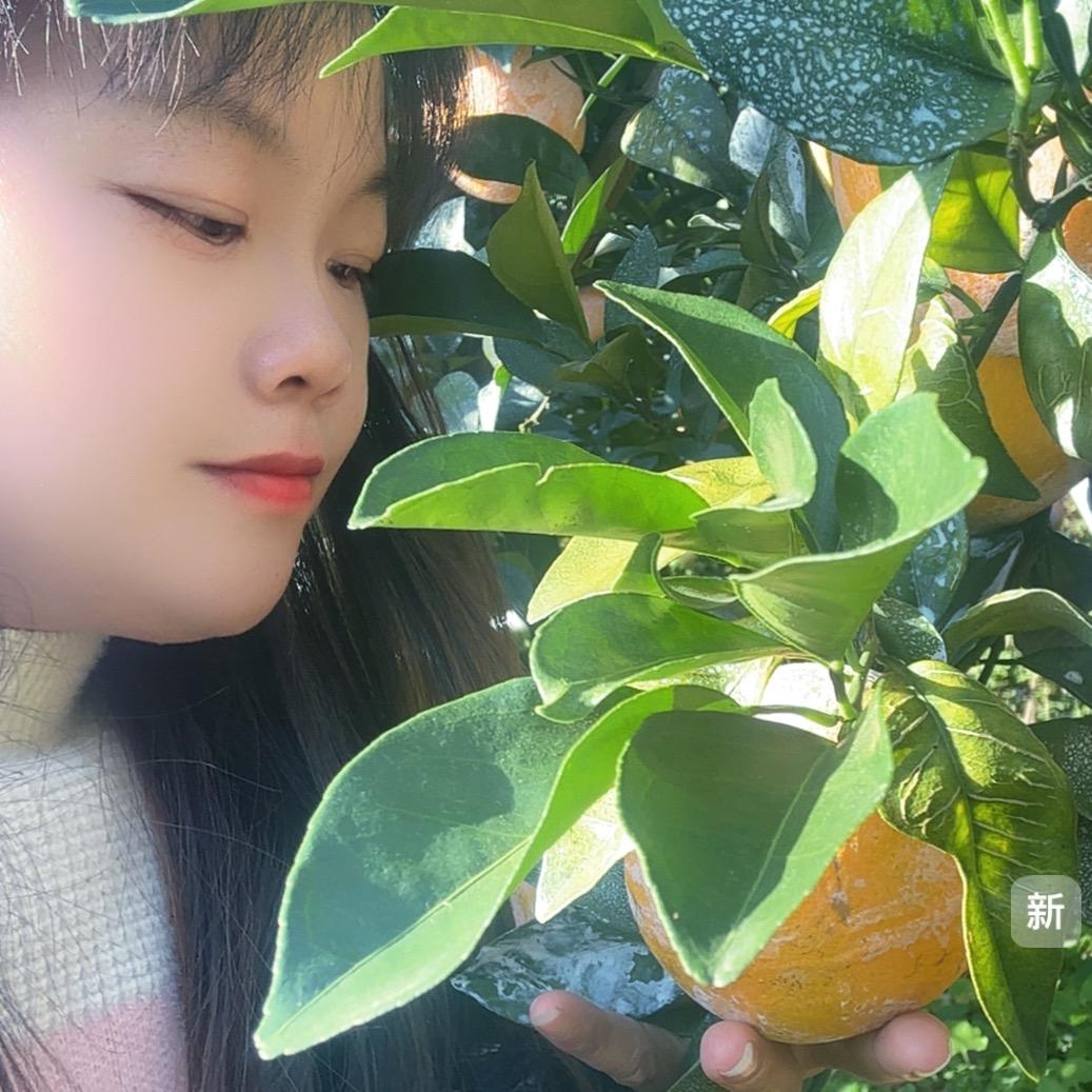 聂小倩