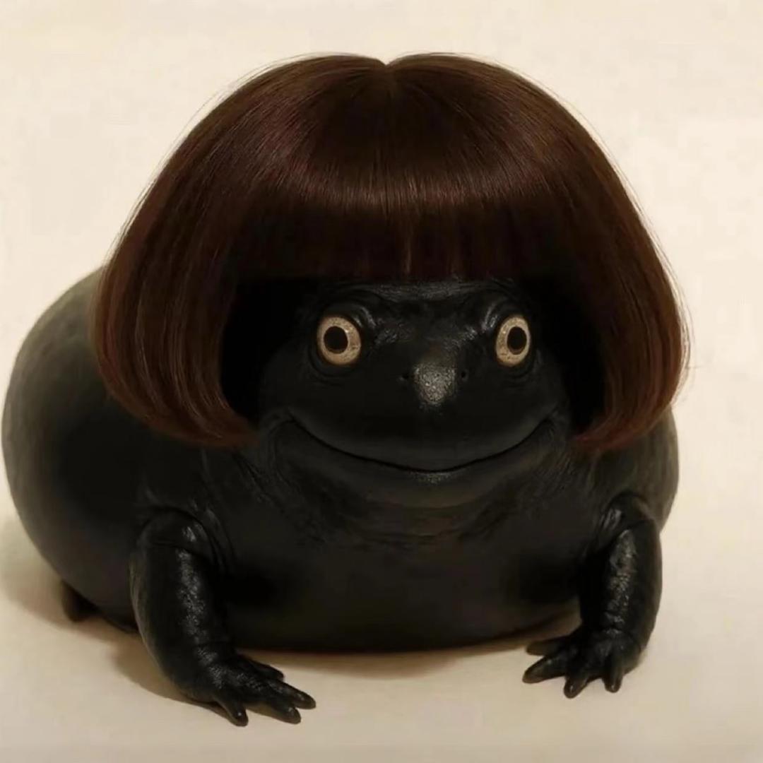 落坨翔子💩