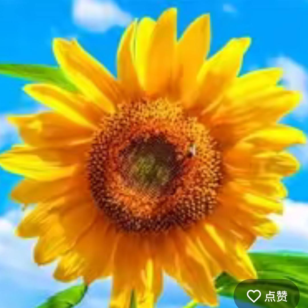 玉姐好物甄选