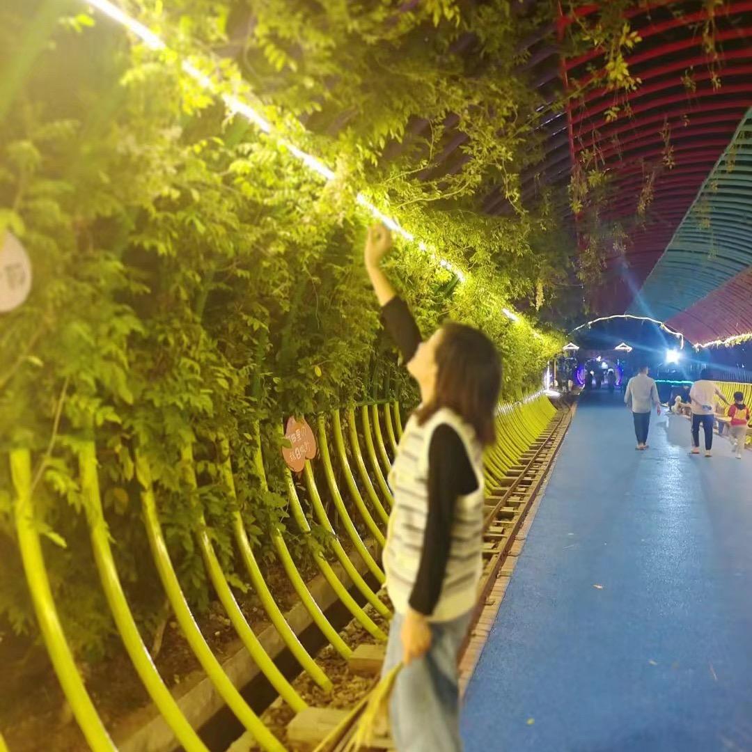 田心三村英子油煎粿（收徒）