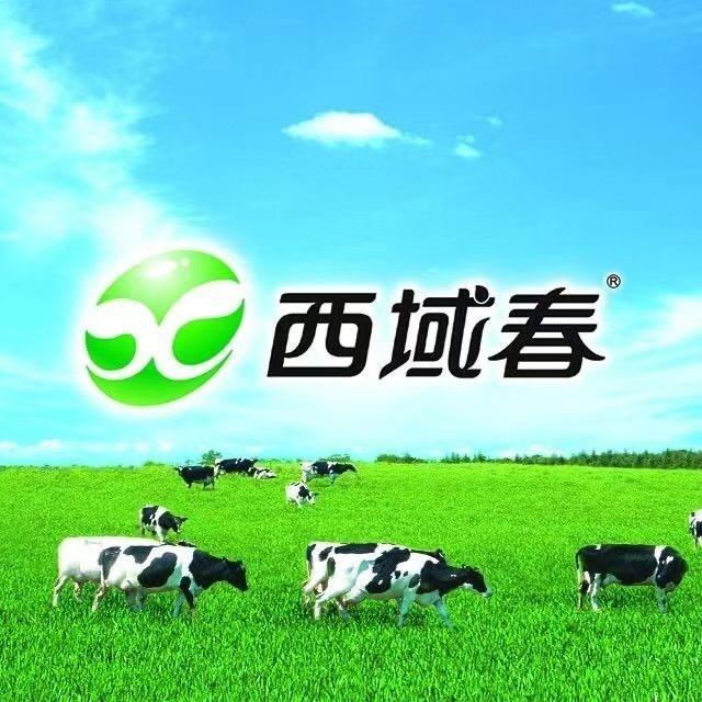 新疆牛奶，酸奶