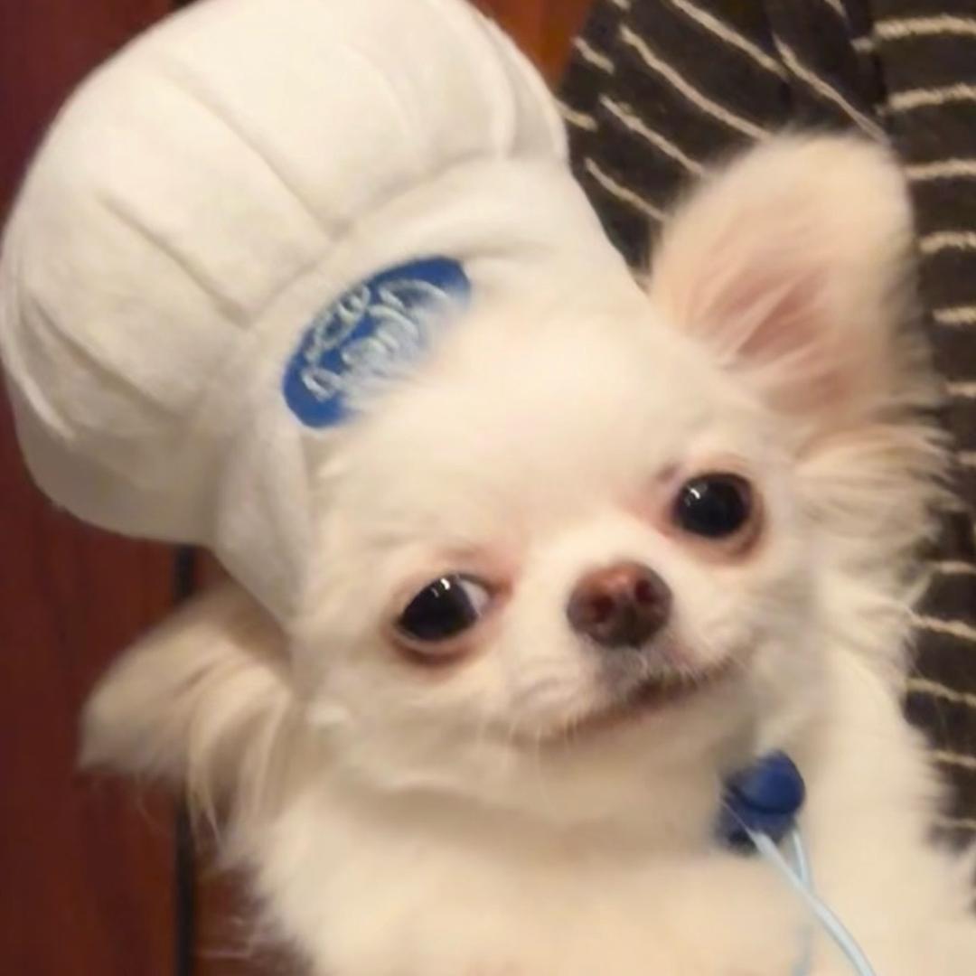 小黑^