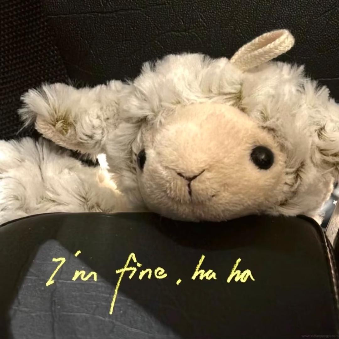 四十四次日落🫧