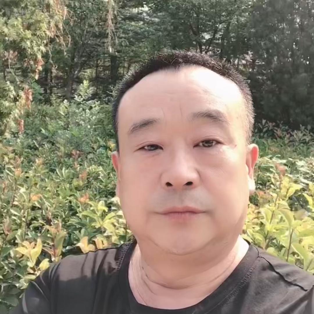 郑歌