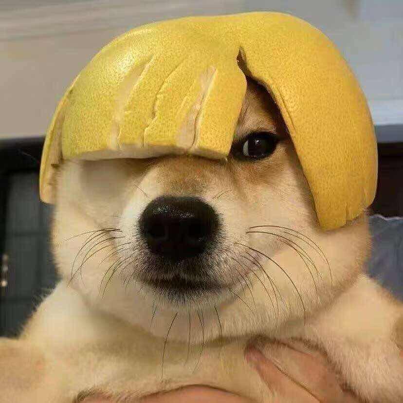 晚风吹起