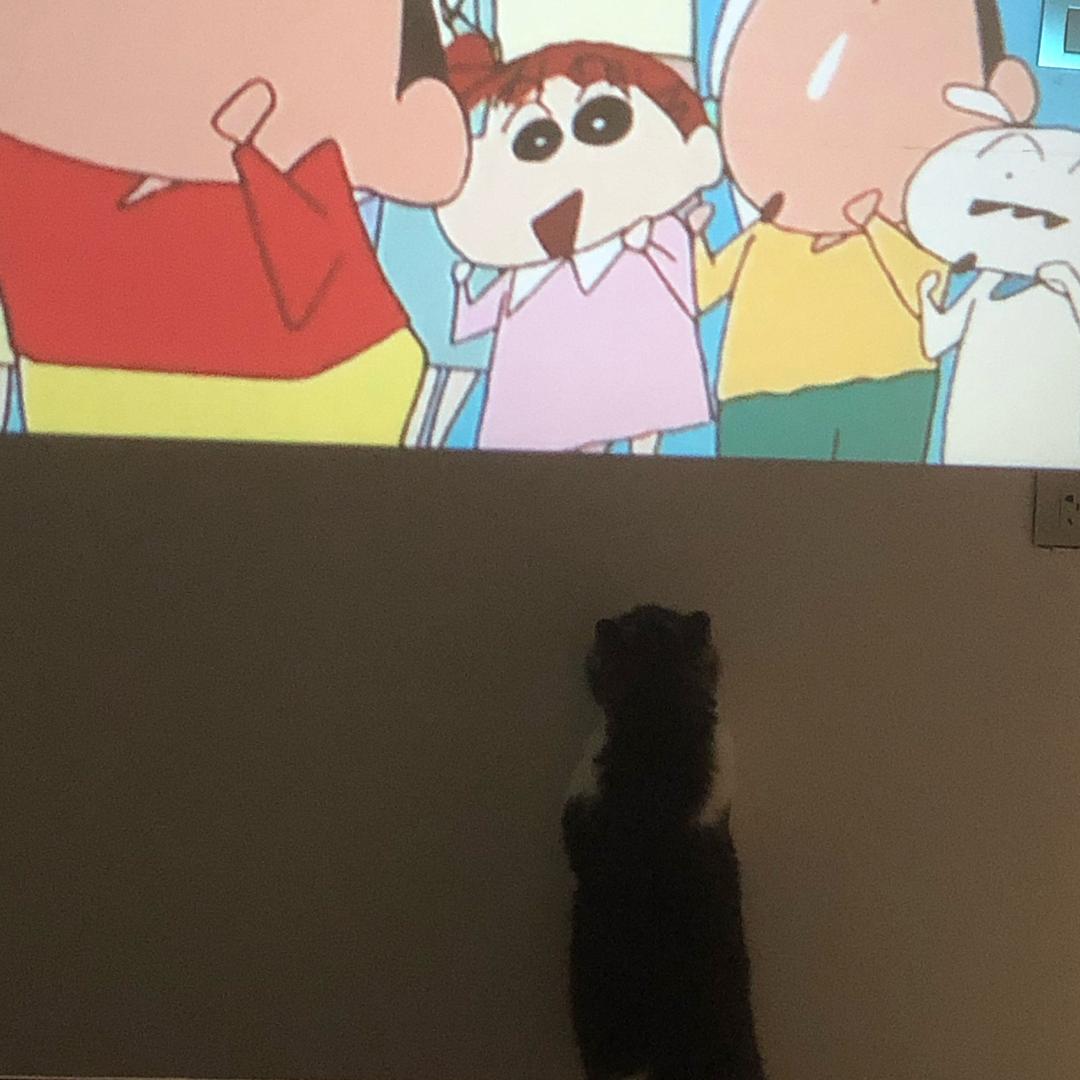 奇奇怪怪怪可爱