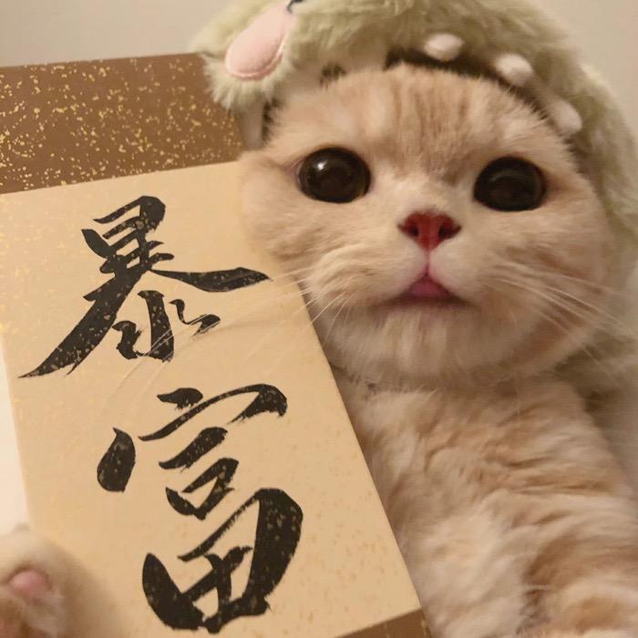 花开富贵诸事顺遂