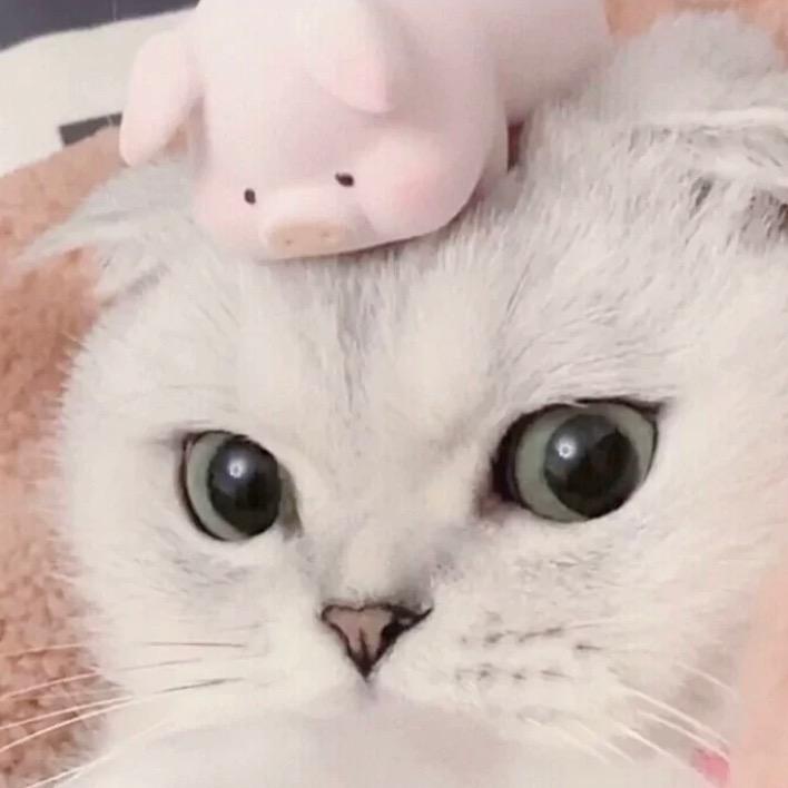 雨后便是晴天