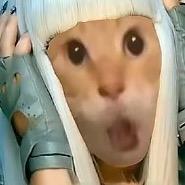 九天