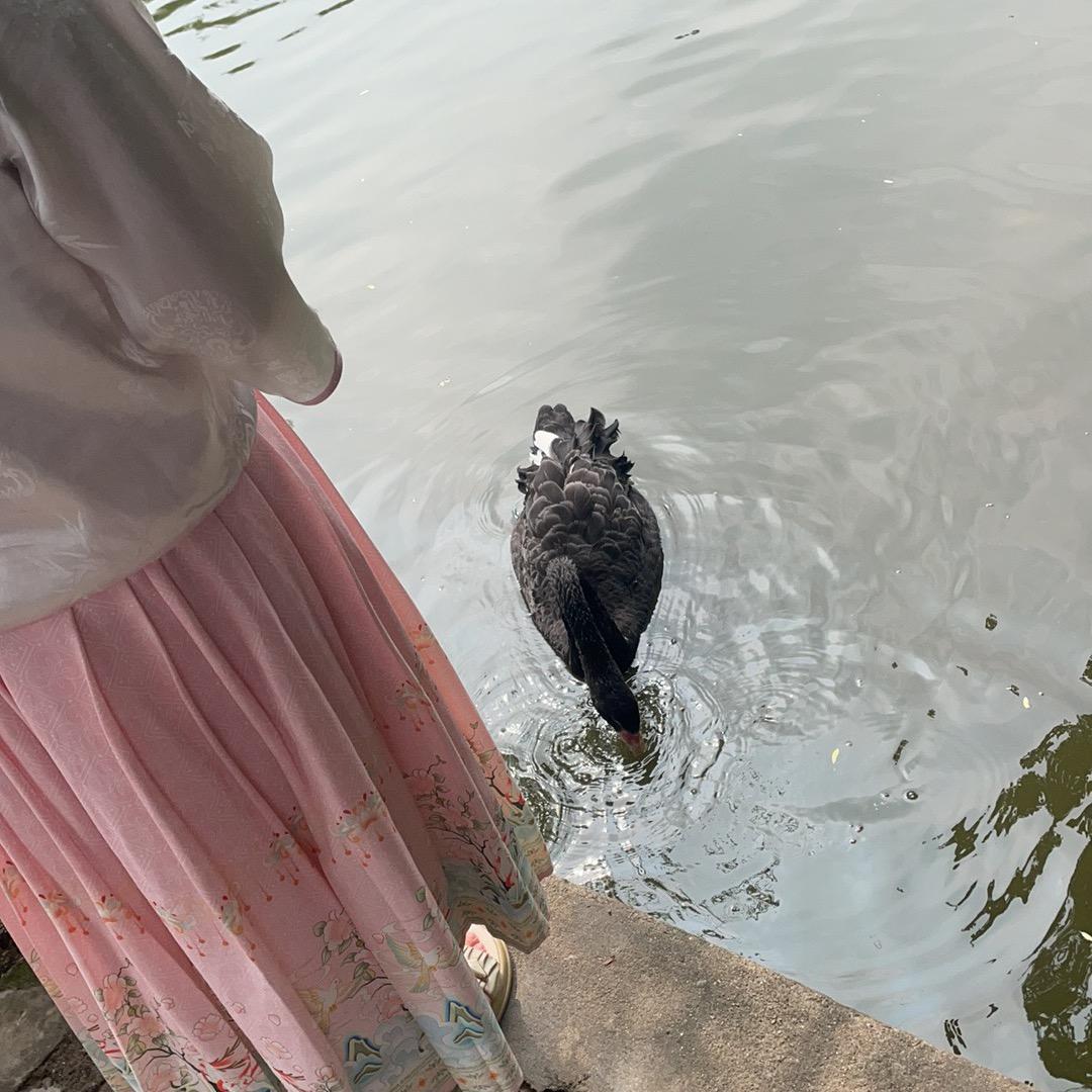 谢霆风
