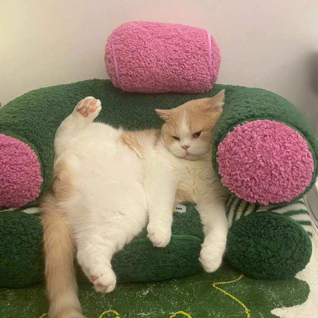 抑郁的绝世饼干