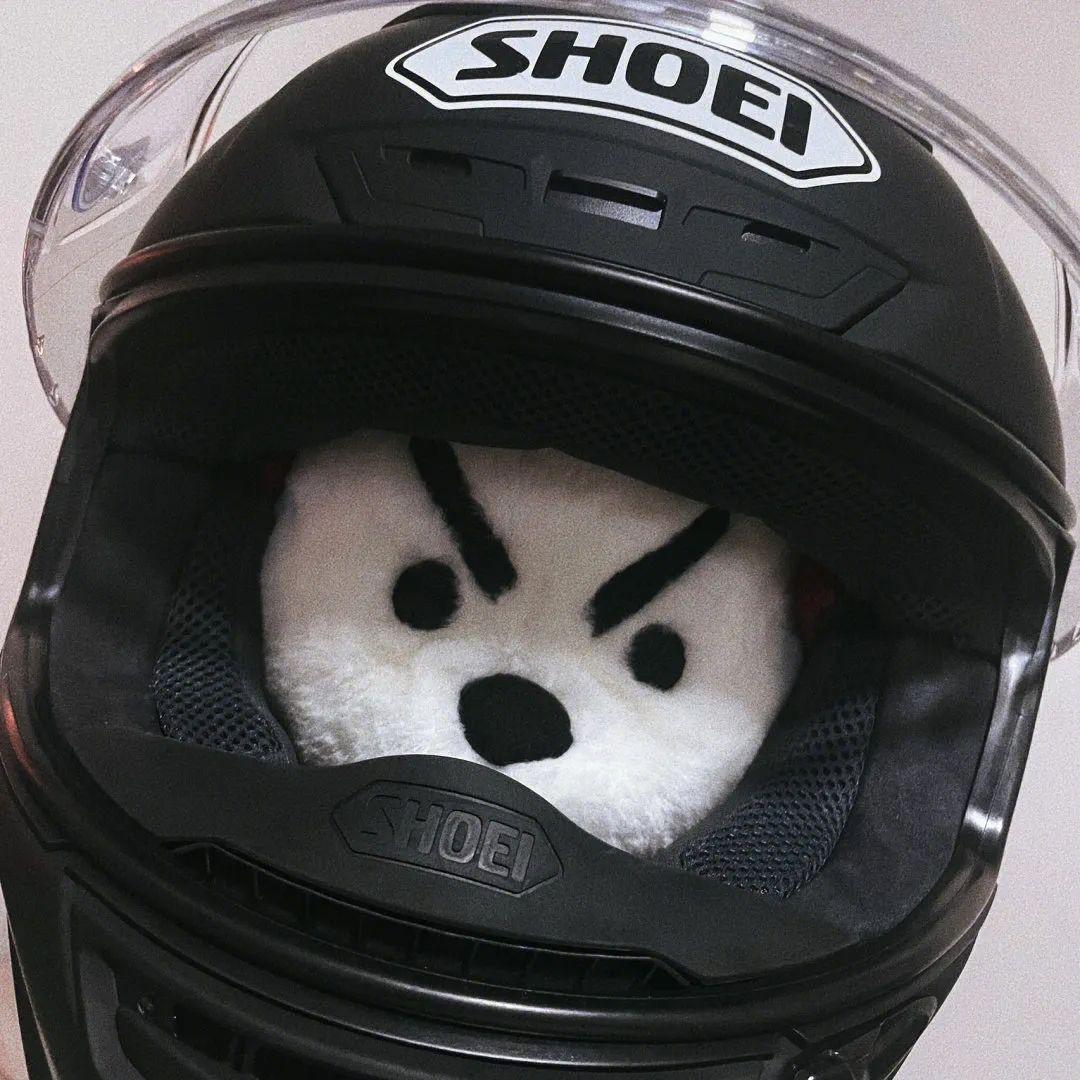 在野