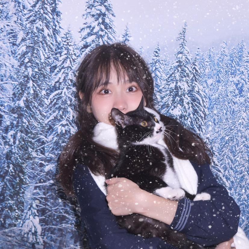 别拽我猫耳朵