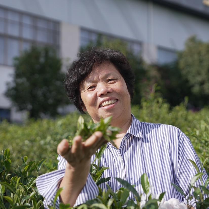 李友芬（茶吗吗）