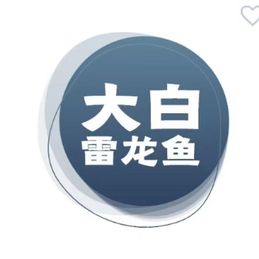 大白雷龙鱼