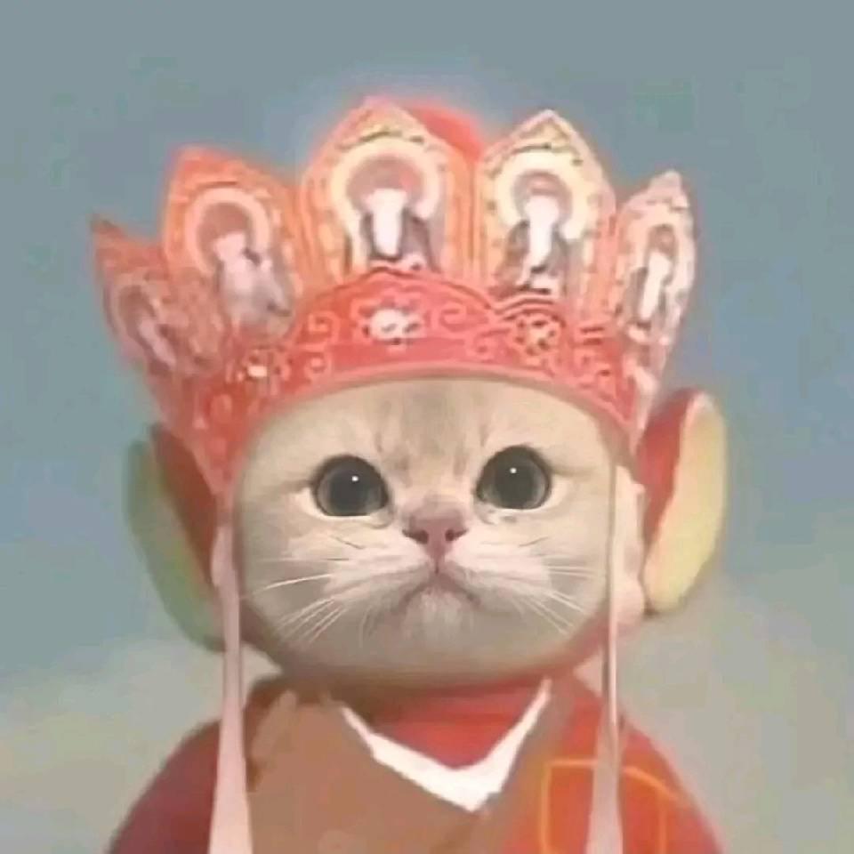 暴打两脚兽-（不接天才少年）