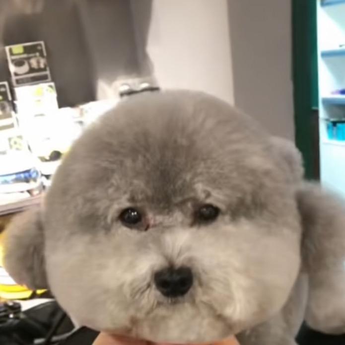 性情姐弟