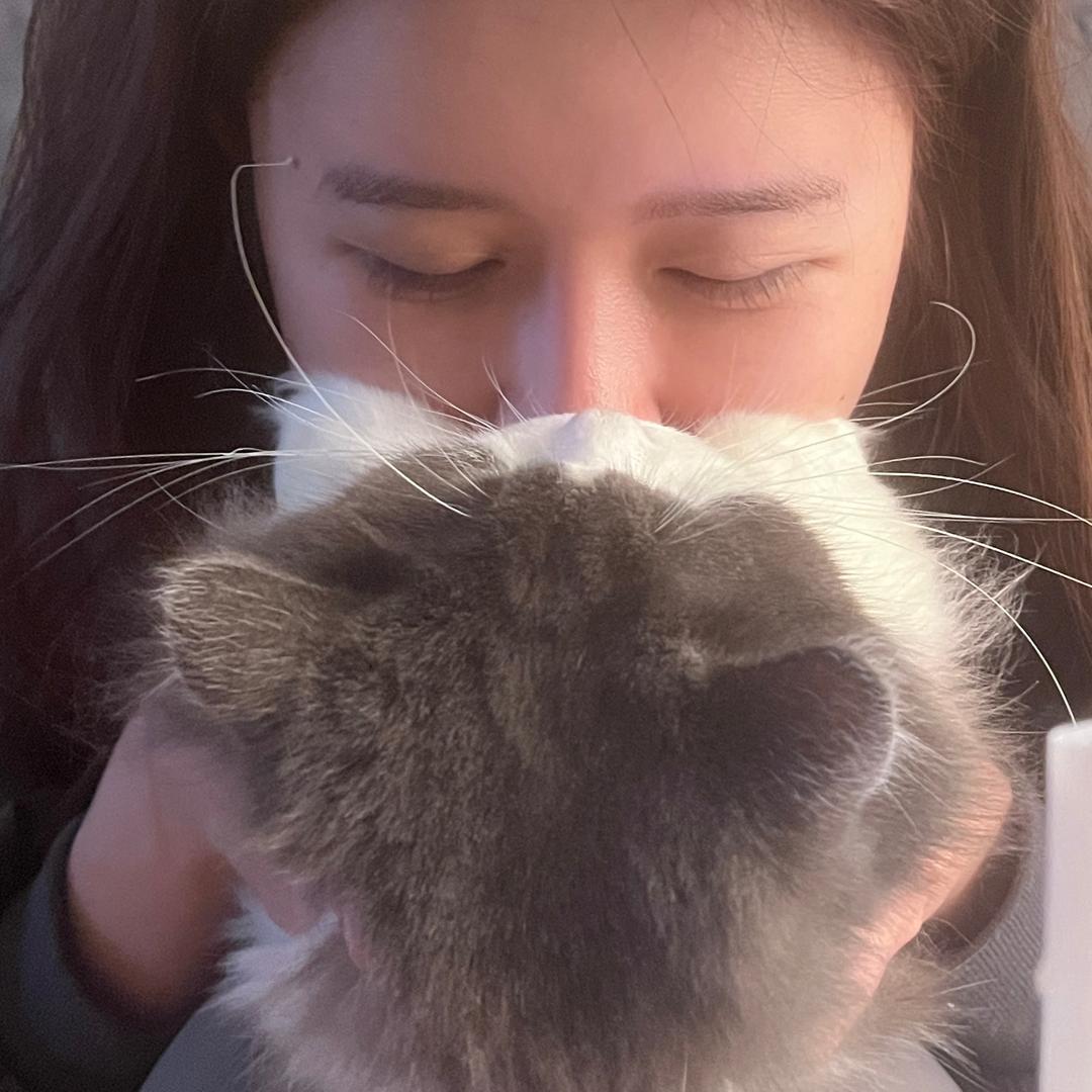 杰尼杰尼猪