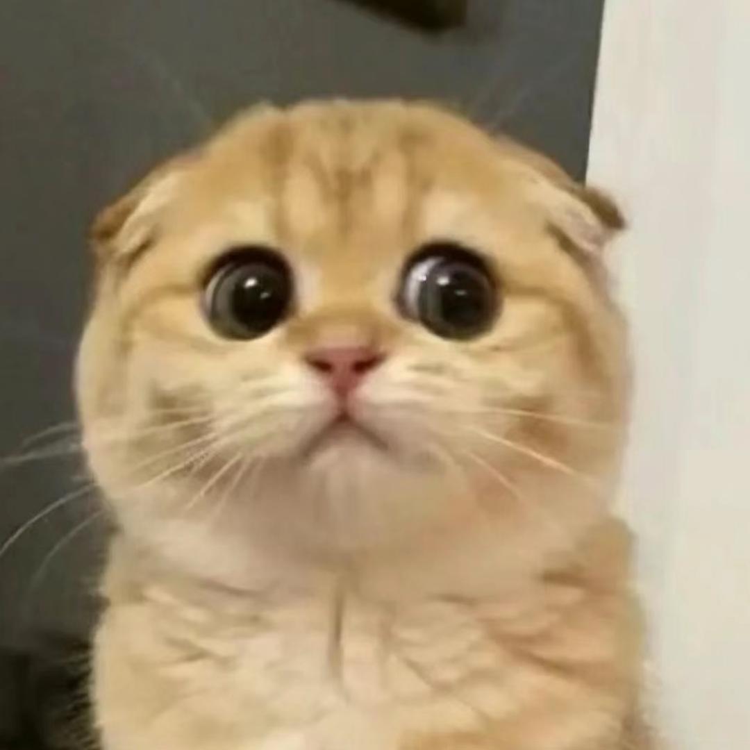亚木