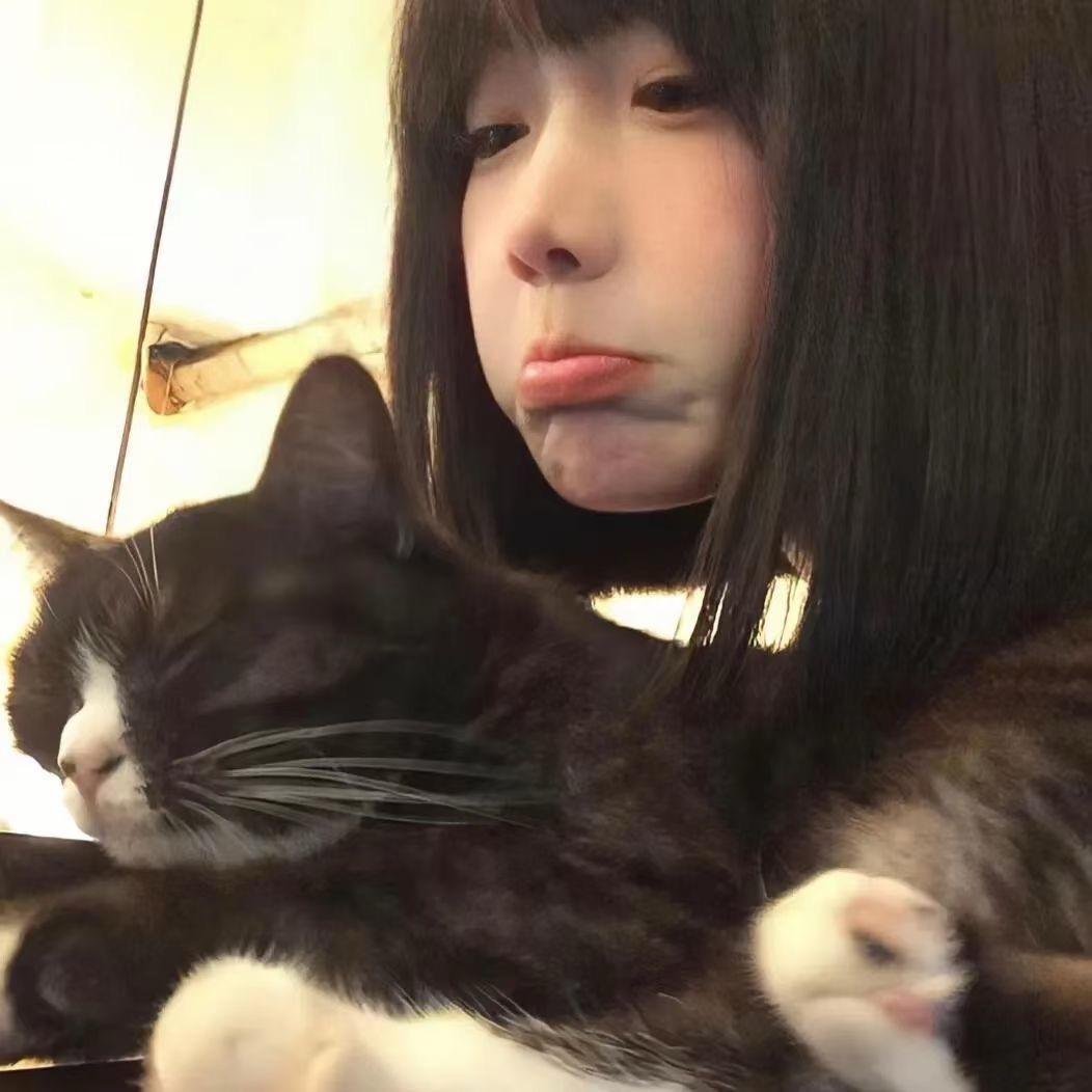 喵了个喵