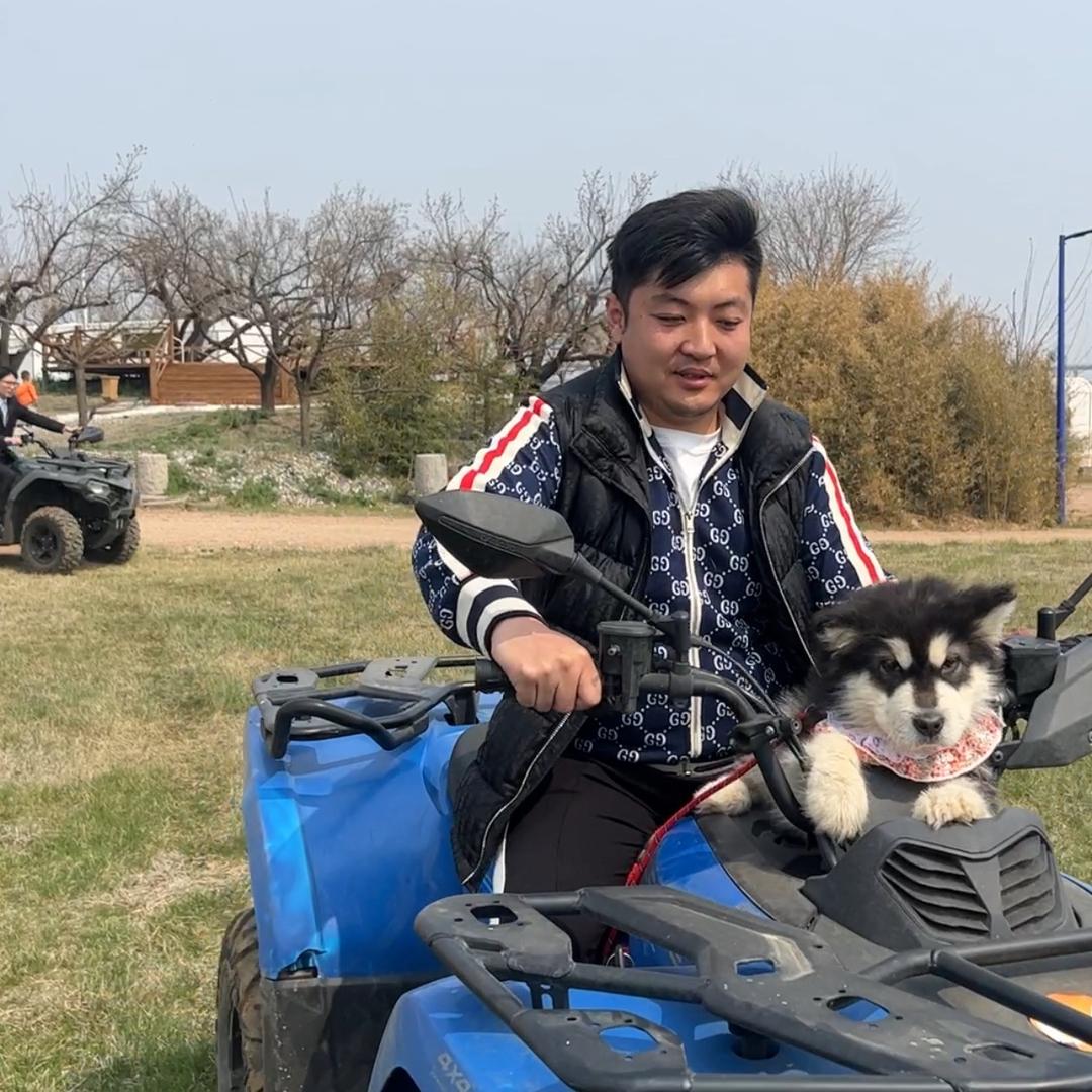 山东狗王犬业