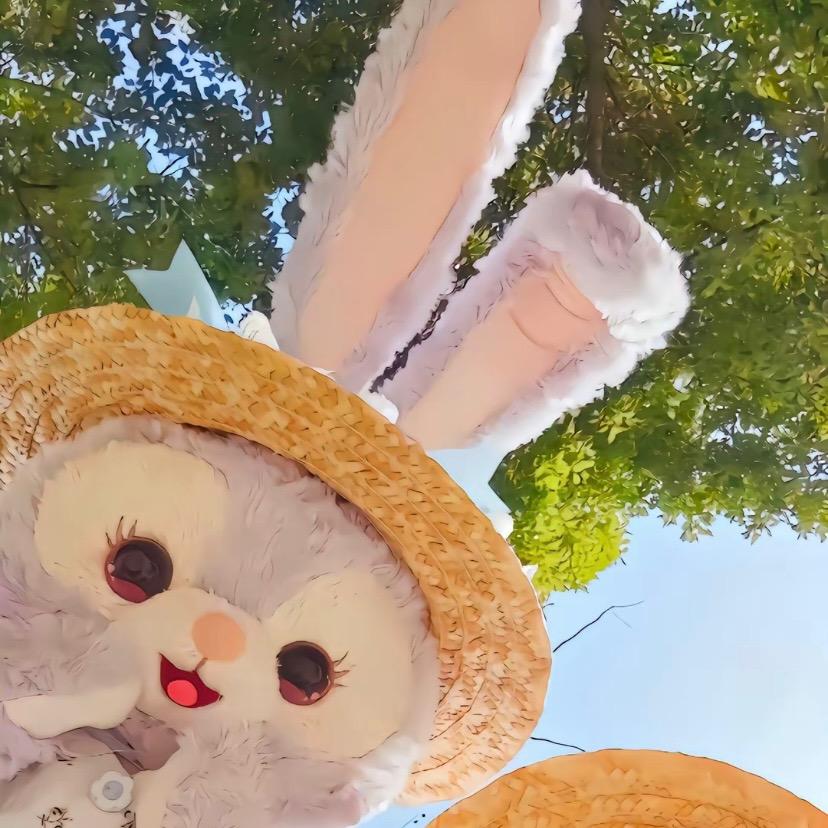 拾忆🐯🌈