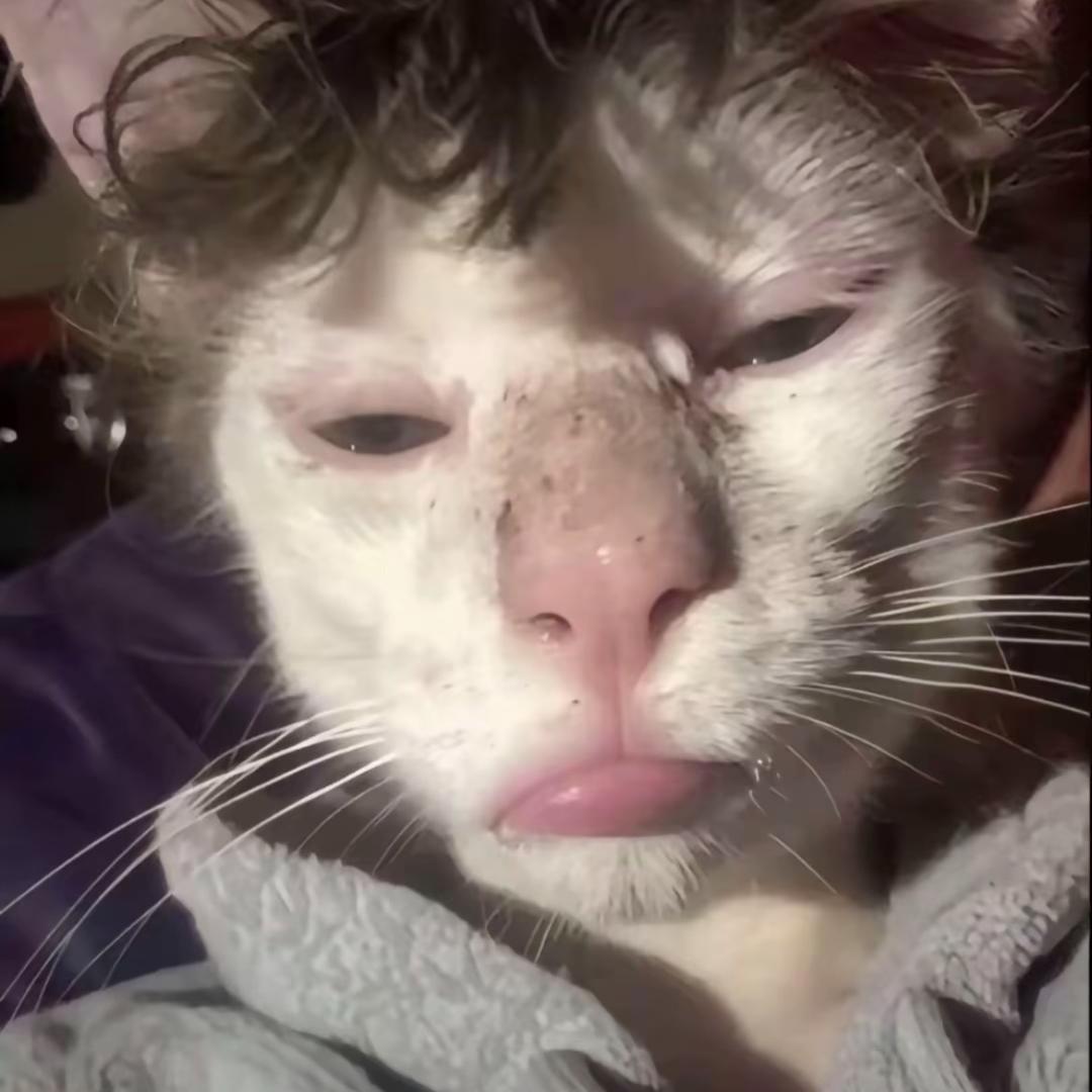 投降输一半