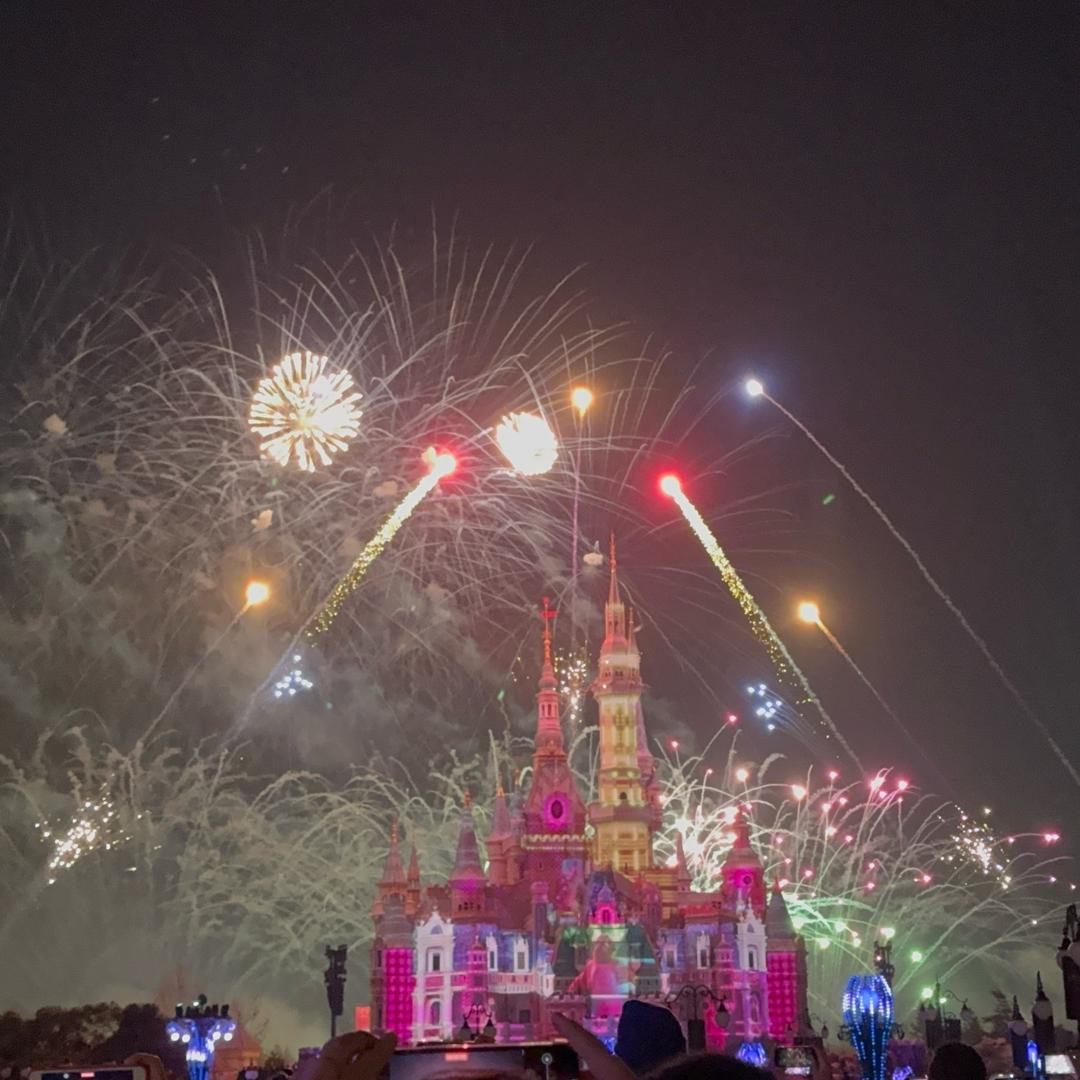 上海利迪迪旅游咨询有限公司