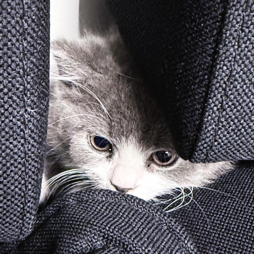 墩墩的成长日记