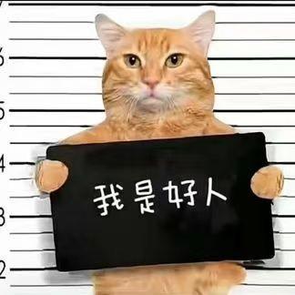 不加菜-❀-