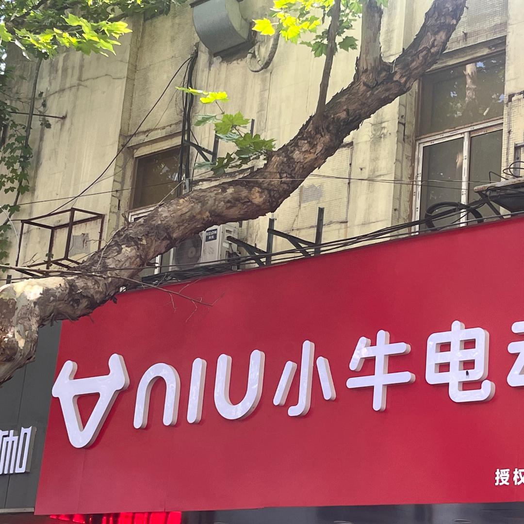 小牛电动(热河南路店)